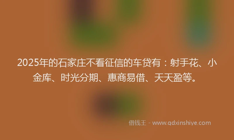 2025年的石家庄不看征信的车贷有：射手花、小金库、时光分期、惠商易借、天天盈等。
