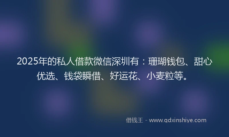 2025年的私人借款微信深圳有：珊瑚钱包、甜心优选、钱袋瞬借、好运花、小麦粒等。
