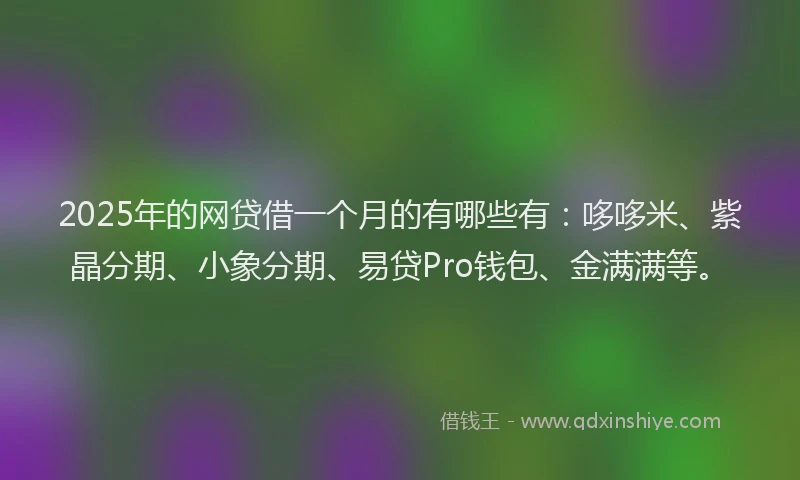 2025年的网贷借一个月的有哪些有：哆哆米、紫晶分期、小象分期、易贷Pro钱包、金满满等。