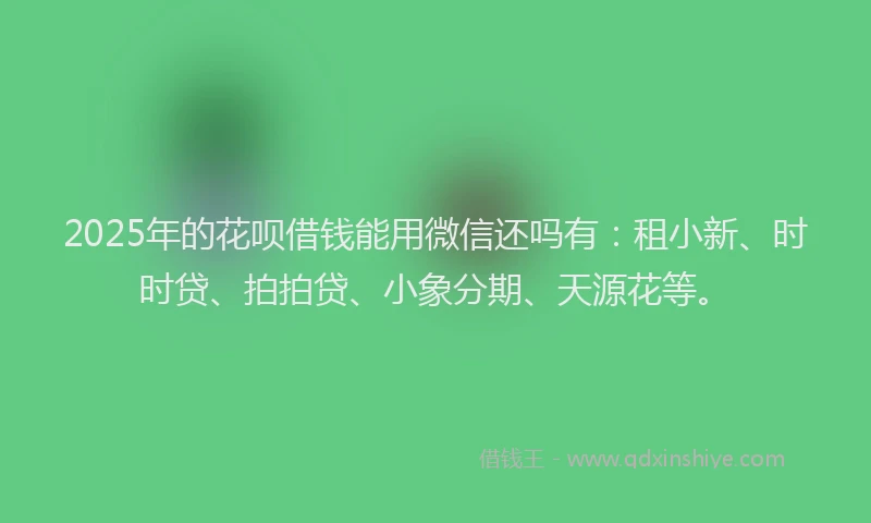 2025年的花呗借钱能用微信还吗有：租小新、时时贷、拍拍贷、小象分期、天源花等。