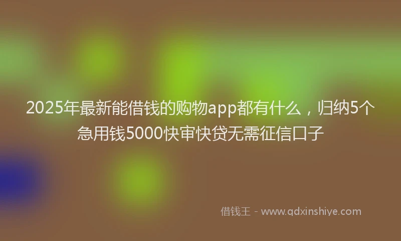 2025年最新能借钱的购物app都有什么，归纳5个急用钱5000快审快贷无需征信口子