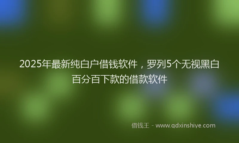 2025年最新纯白户借钱软件，罗列5个无视黑白百分百下款的借款软件