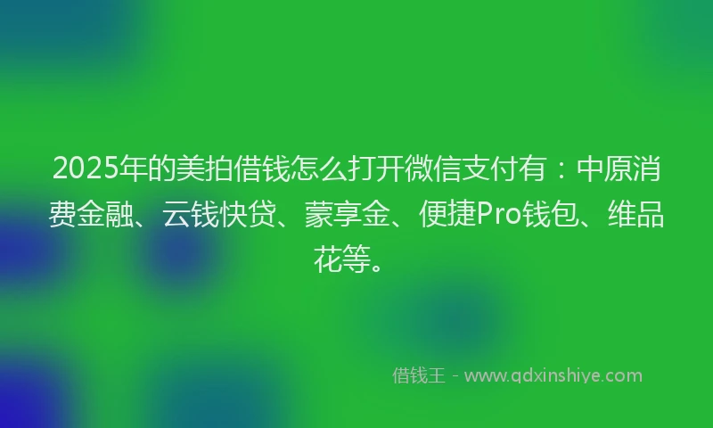 2025年的美拍借钱怎么打开微信支付有：中原消费金融、云钱快贷、蒙享金、便捷Pro钱包、维品花等。