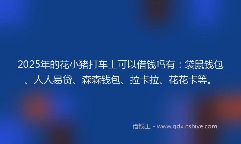 2025年的花小猪打车上可以借钱吗有：袋鼠钱包、人人易贷、森森钱包、拉卡拉、花花卡等。