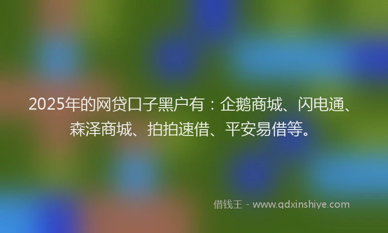 2025年的网贷口子黑户有：企鹅商城、闪电通、森泽商城、拍拍速借、平安易借等。
