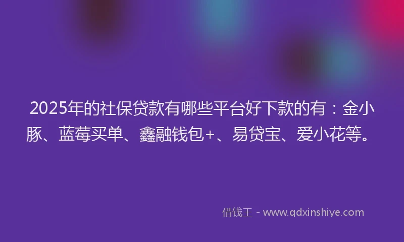 2025年的社保贷款有哪些平台好下款的有：金小豚、蓝莓买单、鑫融钱包+、易贷宝、爱小花等。