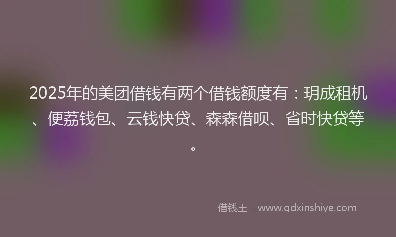 2025年的美团借钱有两个借钱额度有：玥成租机、便荔钱包、云钱快贷、森森借呗、省时快贷等。