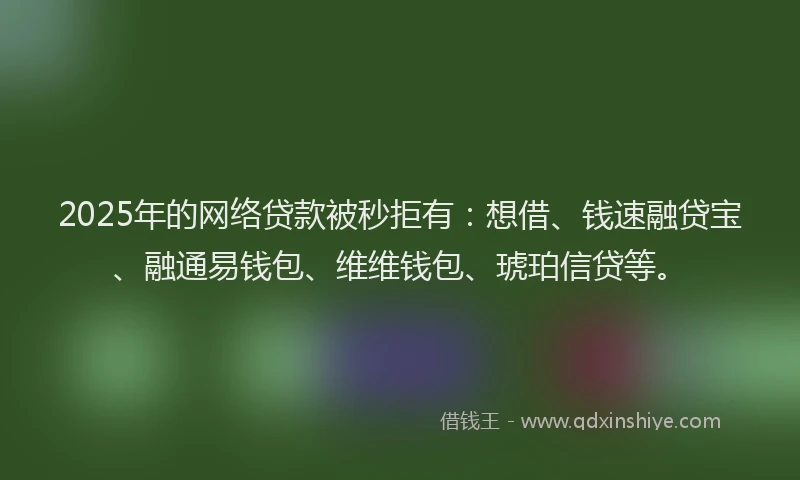 2025年的网络贷款被秒拒有：想借、钱速融贷宝、融通易钱包、维维钱包、琥珀信贷等。