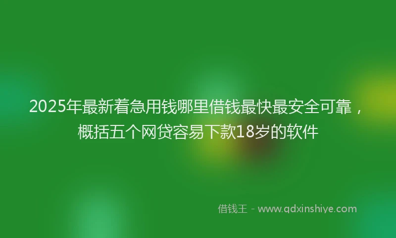 2025年最新着急用钱哪里借钱最快最安全可靠，概括五个网贷容易下款18岁的软件