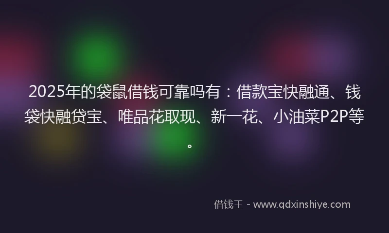 2025年的袋鼠借钱可靠吗有：借款宝快融通、钱袋快融贷宝、唯品花取现、新一花、小油菜P2P等。