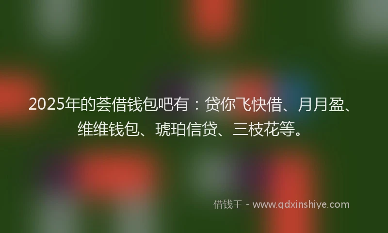 2025年的荟借钱包吧有：贷你飞快借、月月盈、维维钱包、琥珀信贷、三枝花等。
