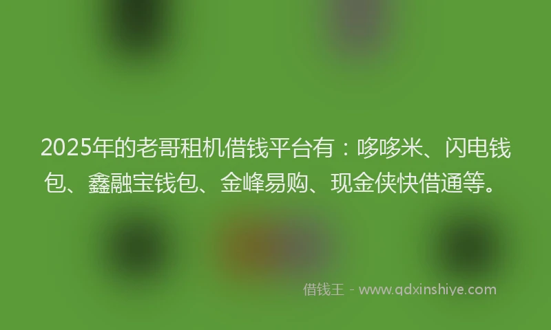 2025年的老哥租机借钱平台有：哆哆米、闪电钱包、鑫融宝钱包、金峰易购、现金侠快借通等。