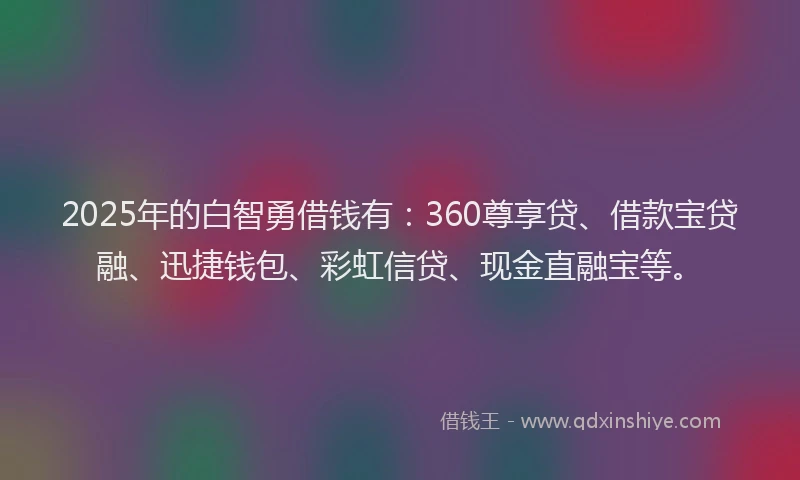 2025年的白智勇借钱有：360尊享贷、借款宝贷融、迅捷钱包、彩虹信贷、现金直融宝等。