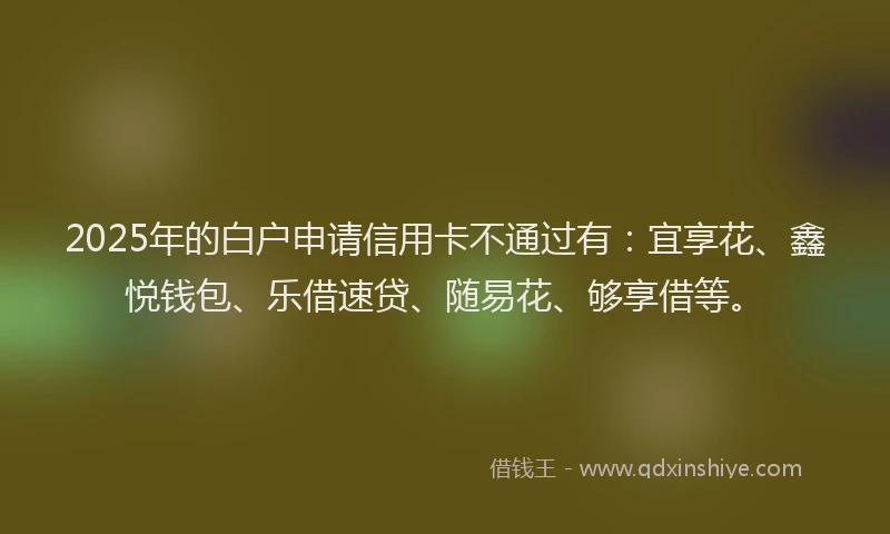 2025年的白户申请信用卡不通过有：宜享花、鑫悦钱包、乐借速贷、随易花、够享借等。