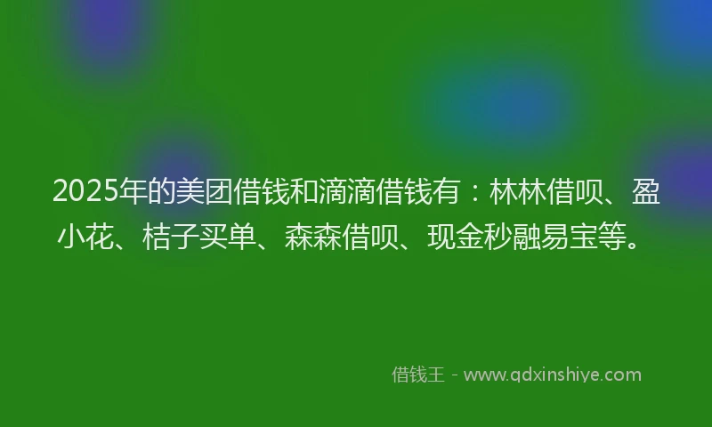 2025年的美团借钱和滴滴借钱有：林林借呗、盈小花、桔子买单、森森借呗、现金秒融易宝等。