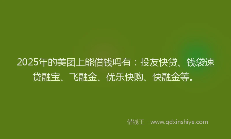 2025年的美团上能借钱吗有：投友快贷、钱袋速贷融宝、飞融金、优乐快购、快融金等。