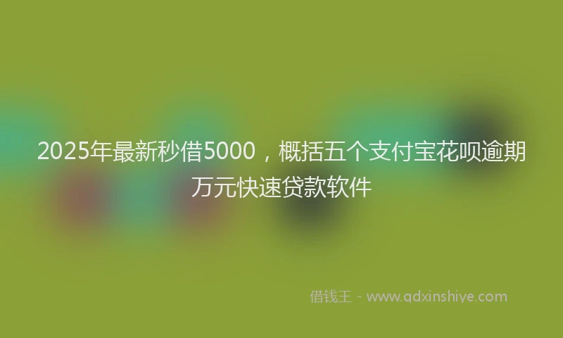 2025年最新秒借5000，概括五个支付宝花呗逾期万元快速贷款软件