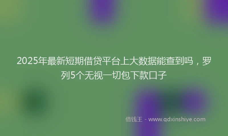 2025年最新短期借贷平台上大数据能查到吗，罗列5个无视一切包下款口子