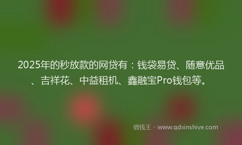 2025年的秒放款的网贷有：钱袋易贷、随意优品、吉祥花、中益租机、鑫融宝Pro钱包等。