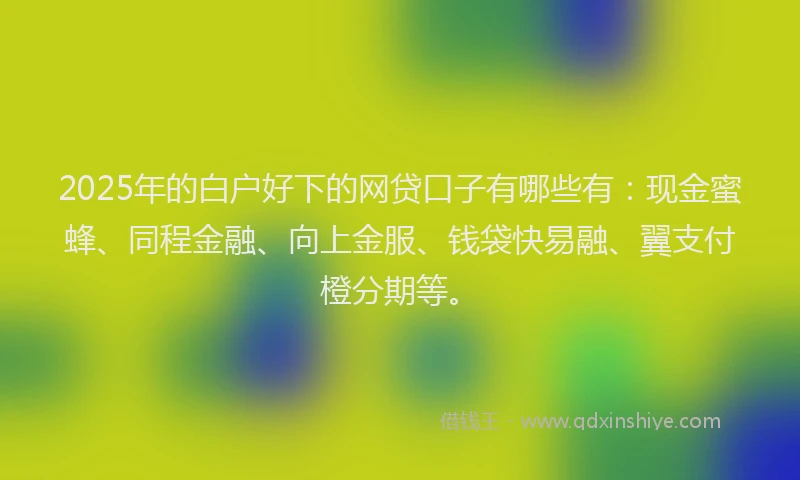 2025年的白户好下的网贷口子有哪些有：现金蜜蜂、同程金融、向上金服、钱袋快易融、翼支付橙分期等。