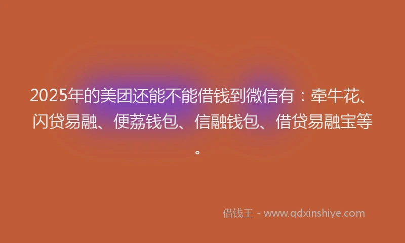 2025年的美团还能不能借钱到微信有：牵牛花、闪贷易融、便荔钱包、信融钱包、借贷易融宝等。