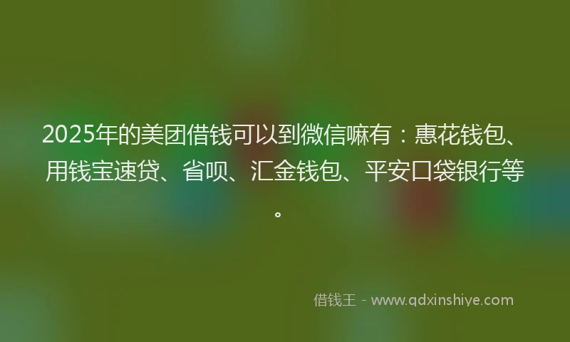 2025年的美团借钱可以到微信嘛有：惠花钱包、用钱宝速贷、省呗、汇金钱包、平安口袋银行等。