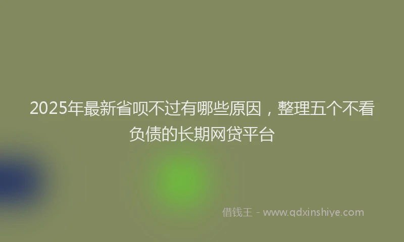 2025年最新省呗不过有哪些原因，整理五个不看负债的长期网贷平台