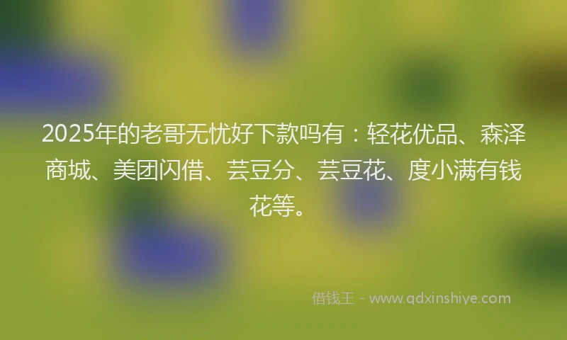 2025年的老哥无忧好下款吗有：轻花优品、森泽商城、美团闪借、芸豆分、芸豆花、度小满有钱花等。