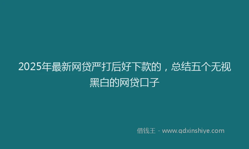 2025年最新网贷严打后好下款的，总结五个无视黑白的网贷口子