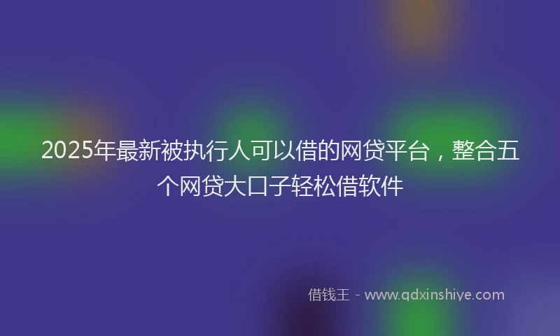 2025年最新被执行人可以借的网贷平台，整合五个网贷大口子轻松借软件