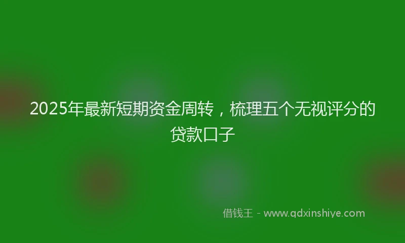 2025年最新短期资金周转，梳理五个无视评分的贷款口子