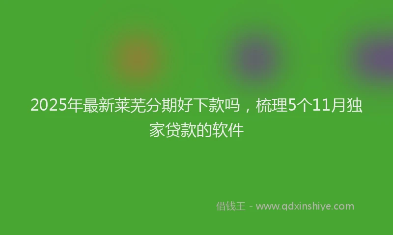 2025年最新莱芜分期好下款吗，梳理5个11月独家贷款的软件