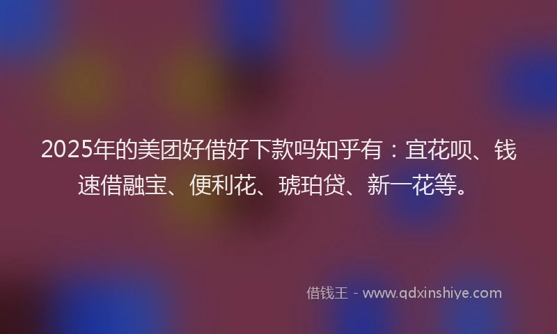 2025年的美团好借好下款吗知乎有：宜花呗、钱速借融宝、便利花、琥珀贷、新一花等。