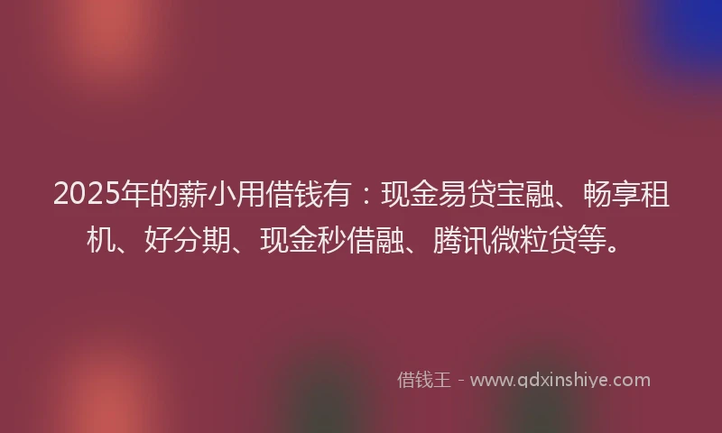 2025年的薪小用借钱有：现金易贷宝融、畅享租机、好分期、现金秒借融、腾讯微粒贷等。