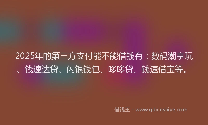 2025年的第三方支付能不能借钱有：数码潮享玩、钱速达贷、闪银钱包、哆哆贷、钱速借宝等。