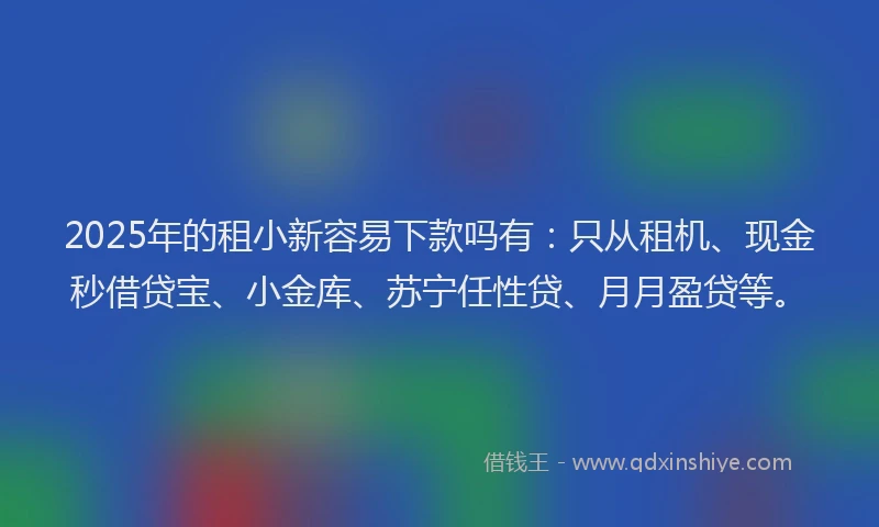 2025年的租小新容易下款吗有：只从租机、现金秒借贷宝、小金库、苏宁任性贷、月月盈贷等。