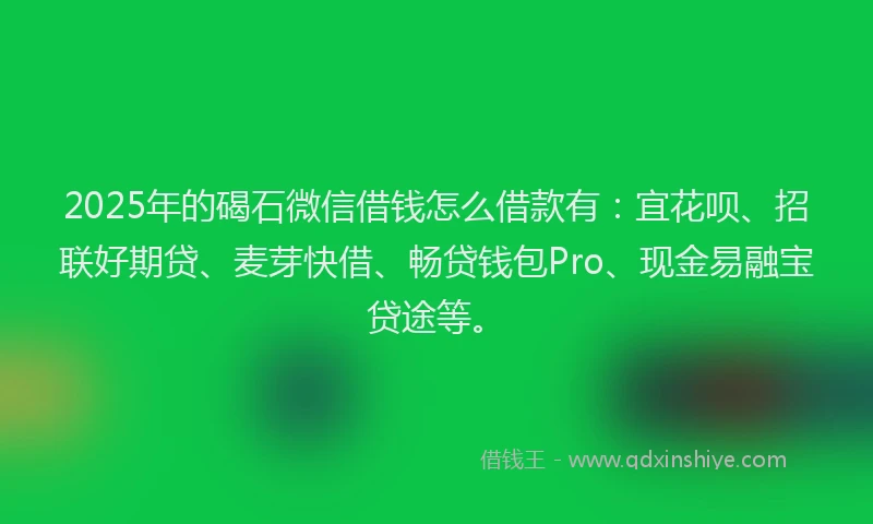 2025年的碣石微信借钱怎么借款有：宜花呗、招联好期贷、麦芽快借、畅贷钱包Pro、现金易融宝贷途等。