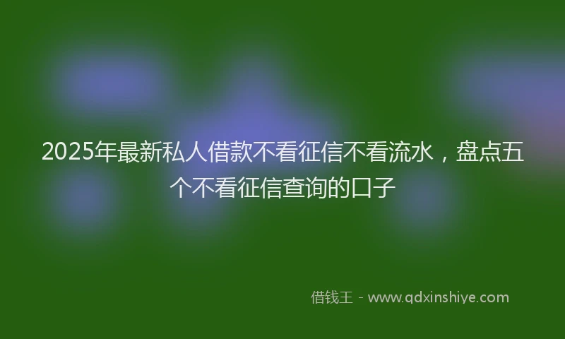 2025年最新私人借款不看征信不看流水，盘点五个不看征信查询的口子