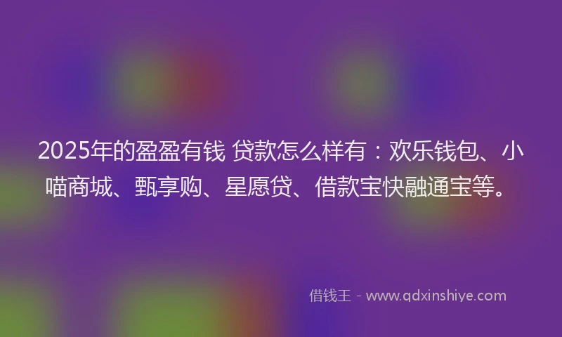 2025年的盈盈有钱 贷款怎么样有：欢乐钱包、小喵商城、甄享购、星愿贷、借款宝快融通宝等。