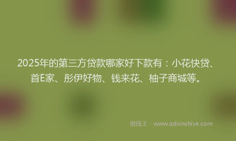 2025年的第三方贷款哪家好下款有：小花快贷、首E家、彤伊好物、钱来花、柚子商城等。