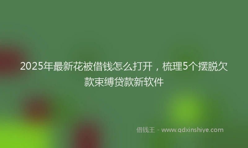 2025年最新花被借钱怎么打开，梳理5个摆脱欠款束缚贷款新软件
