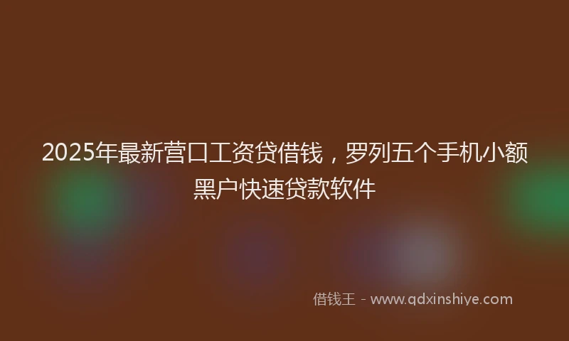 2025年最新营口工资贷借钱，罗列五个手机小额黑户快速贷款软件