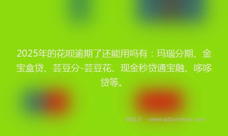 2025年的花呗逾期了还能用吗有：玛瑙分期、金宝盒贷、芸豆分-芸豆花、现金秒贷通宝融、哆哆贷等。