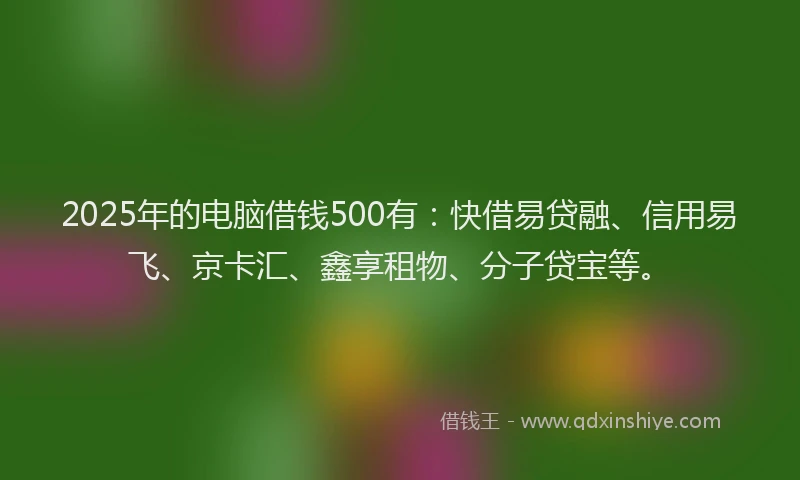 2025年的电脑借钱500有：快借易贷融、信用易飞、京卡汇、鑫享租物、分子贷宝等。