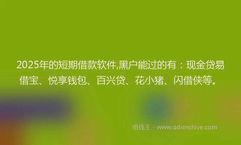 2025年的短期借款软件,黑户能过的有：现金贷易借宝、悦享钱包、百兴贷、花小猪、闪借侠等。