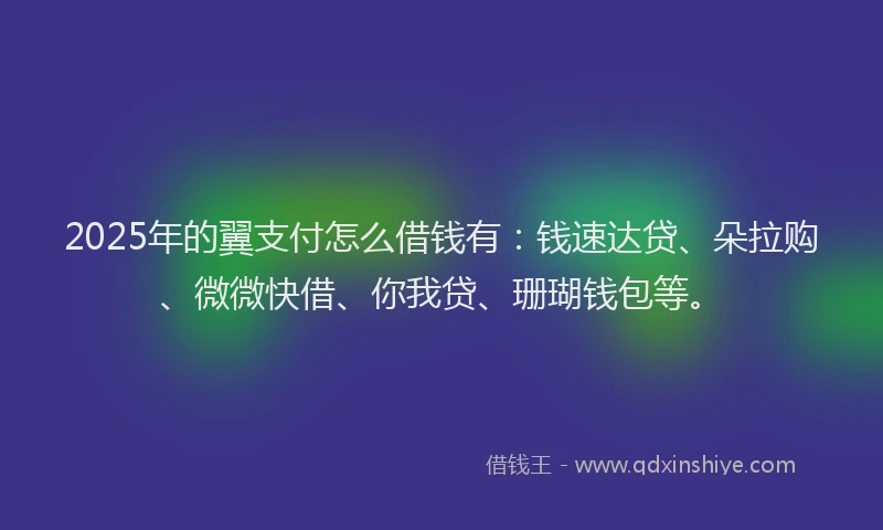 2025年的翼支付怎么借钱有：钱速达贷、朵拉购、微微快借、你我贷、珊瑚钱包等。
