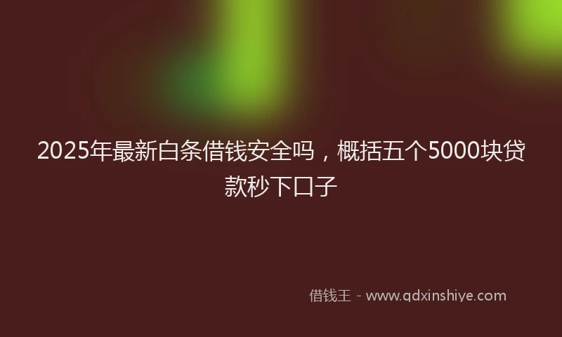 2025年最新白条借钱安全吗，概括五个5000块贷款秒下口子