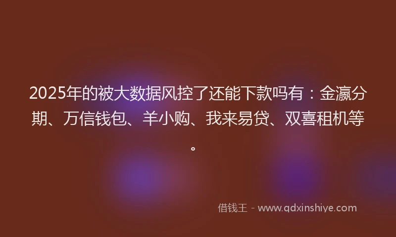2025年的被大数据风控了还能下款吗有：金瀛分期、万信钱包、羊小购、我来易贷、双喜租机等。