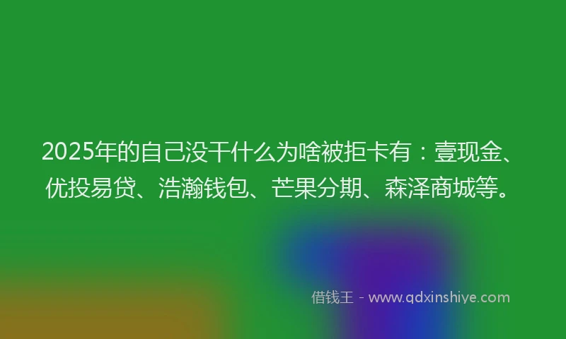2025年的自己没干什么为啥被拒卡有：壹现金、优投易贷、浩瀚钱包、芒果分期、森泽商城等。