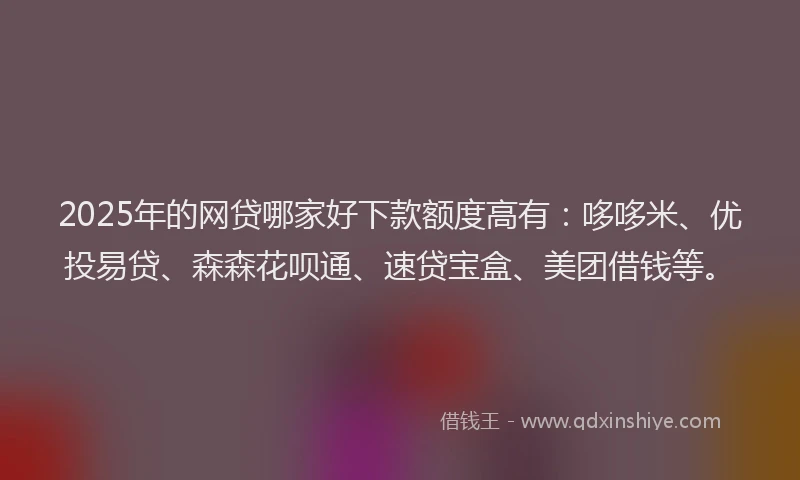 2025年的网贷哪家好下款额度高有：哆哆米、优投易贷、森森花呗通、速贷宝盒、美团借钱等。